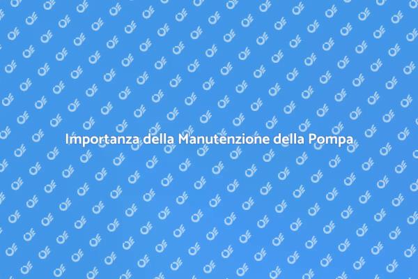 Manutenzione della Pompa Sotterranea
