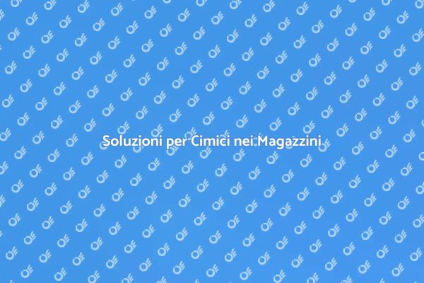 Affronta le Cimici nei Magazzini