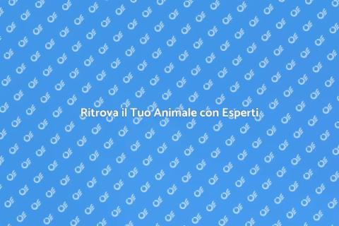 Pet Detective: Trova il Tuo Amico
