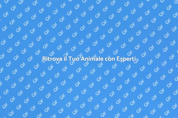 Trova il Tuo Amico a Quattro Zampe