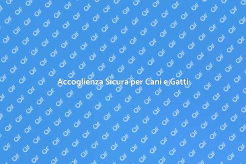 Pensione per Cani e Gatti di Qualità