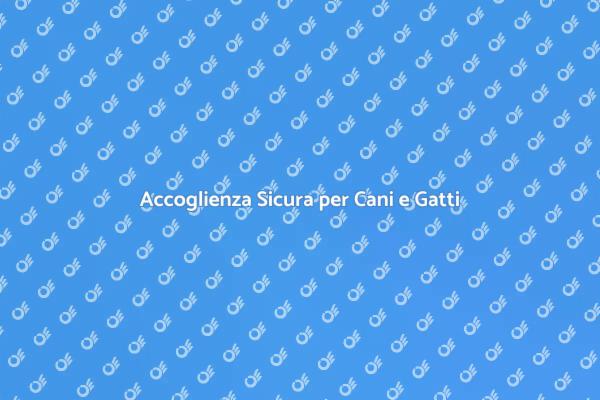 La Tua Soluzione per Cani e Gatti