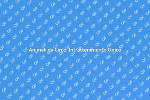 Affitto Animali da Circo per Eventi