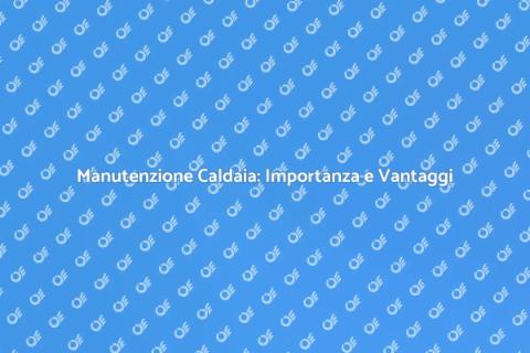 Revisione Straordinaria Caldaia a Gas