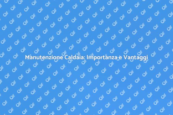 Sicurezza e Risparmio con la Caldaia