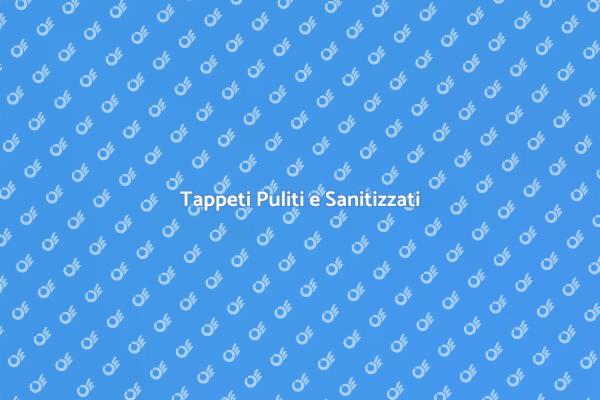 Igiene e Comfort con i Tappeti