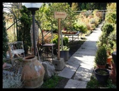 Azienda Florivivaistica Mannini & Brogi  - Foto 5