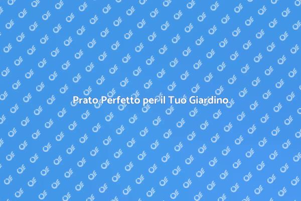 Il Tuo Giardino Verde con il Servizio Prato