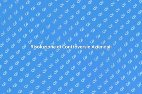 Avvocato per Controversie Internazionali