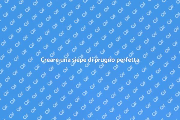 L'arte della siepe di prugno
