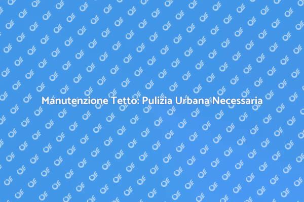 Importanza della Pulizia del Tetto Urbano