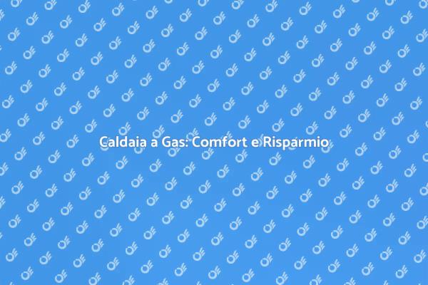 Efficienza e Comfort con Caldaia a Gas