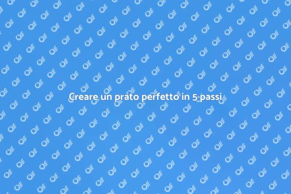 Semina il tuo prato da sogno oggi