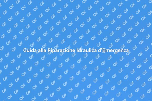Affronta le Emergenze Idrauliche Subito!