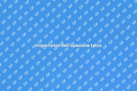 Ispezione tetto professionale