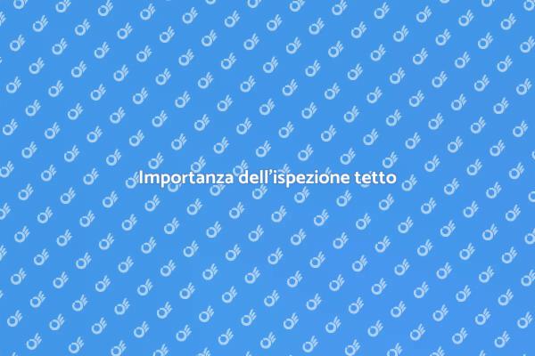 Servizio di ispezione tetto esperto