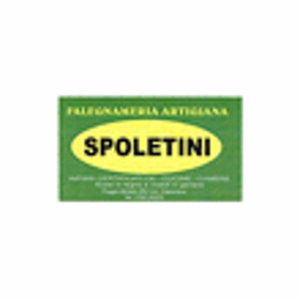 Falegnameria Spoletini Armando  - Foto 1