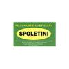 Falegnameria Spoletini Armando 