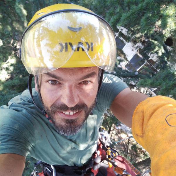 Sherwood TreeWorker - Foto 12