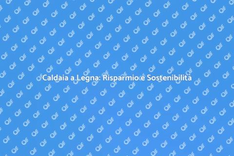 Risparmio Energetico con Caldaia Legna