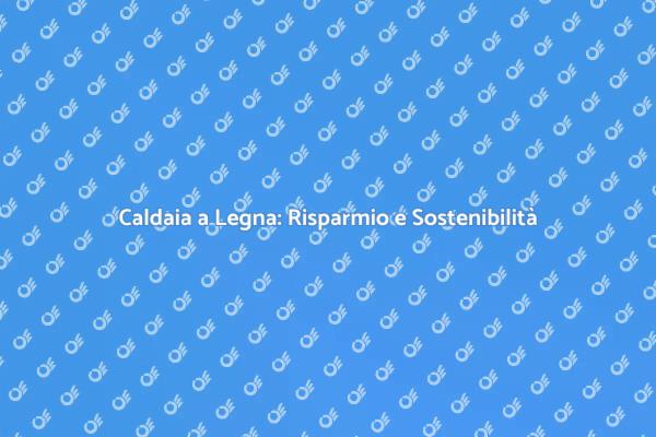 Caldaia a Legna: Un Futuro Sostenibile