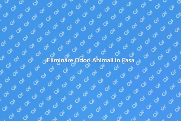Come Eliminare Odori di Animali