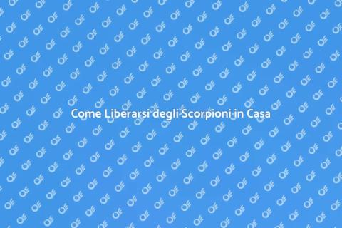 Disinfestare la casa dagli scorpioni