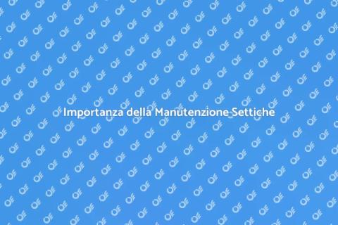 Manutenzione Fosse Settiche Essenziale