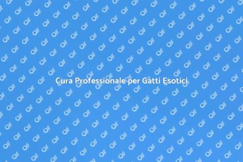 Cat Sitter Esperto per Gatti Esotici