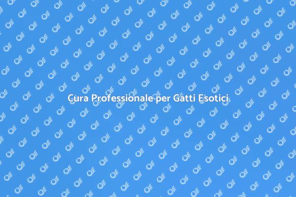 Esperto Cat Sitter per Gatti Esotici