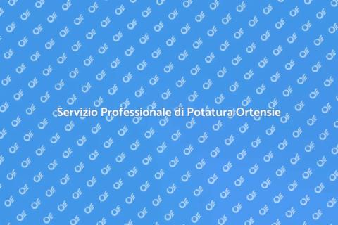 Potatura Ortensie: Guida Completa
