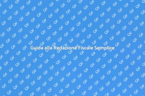 Redazione Dichiarazioni Fiscali Facile
