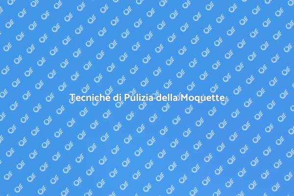 Come Pulire la Moquette in Edilizia