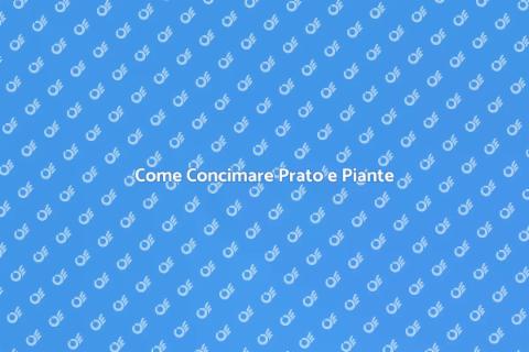 Concimazione Prato e Piante Rigogliose