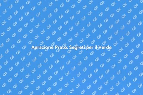 Aerazione del Prato: Guida Completa