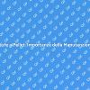 Manutenzione Stufe: Comfort e Risparmio