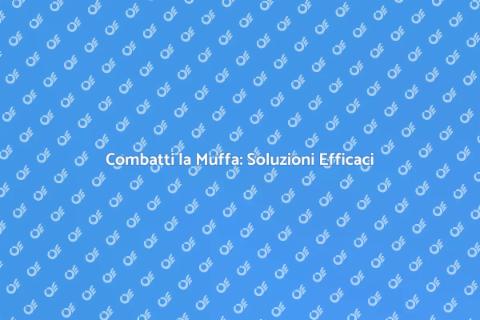 Prevenire Muffa su Pareti Efficacemente