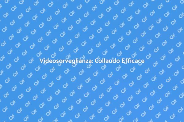 Sicurezza con Videosorveglianza Collaudata