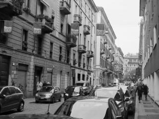 Wild Agency - Xela360 - ADV SOLUTIONS di Piemonte Alex - Foto 5