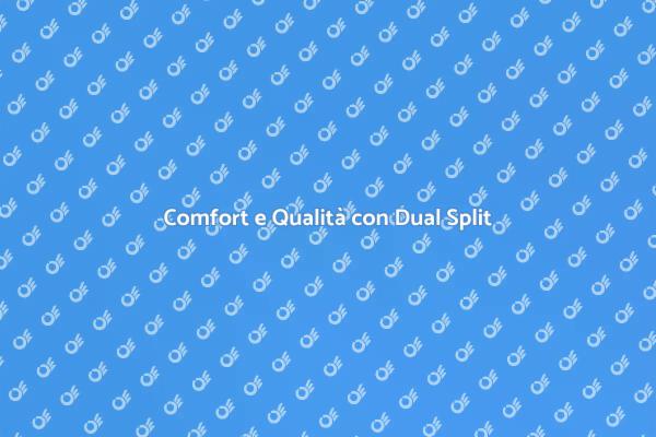 Rivoluziona il Tuo Comfort con Dual Split