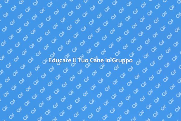 Addestramento Canino in Ambiente Sociale