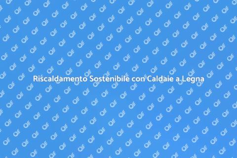 Caldaie a Legna: Comfort e Sostenibilità