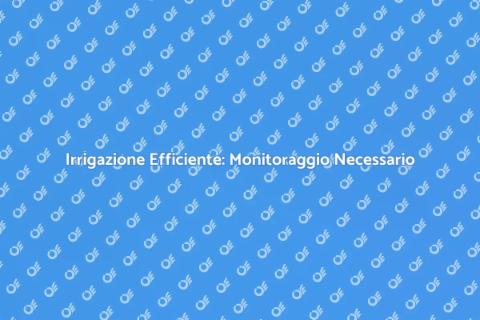 Monitoraggio Irrigazione: Guida Pratica