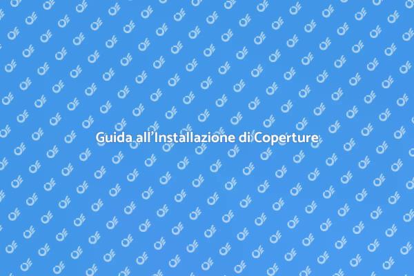 Installazione di Coperture in Metallo