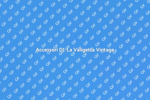 Valigetta Vintage: Eleganza per DJ