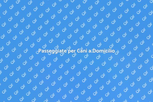 Servizio di Dog Walking Professionale
