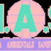 M.A.S. Italia 