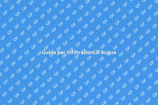 Soluzioni per Infiltrazioni d'Acqua