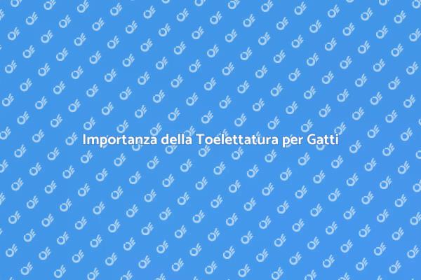 Toelettatura: il segreto per gatti felici