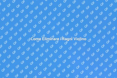Sterminare Ragni Violino: Guida Pratica